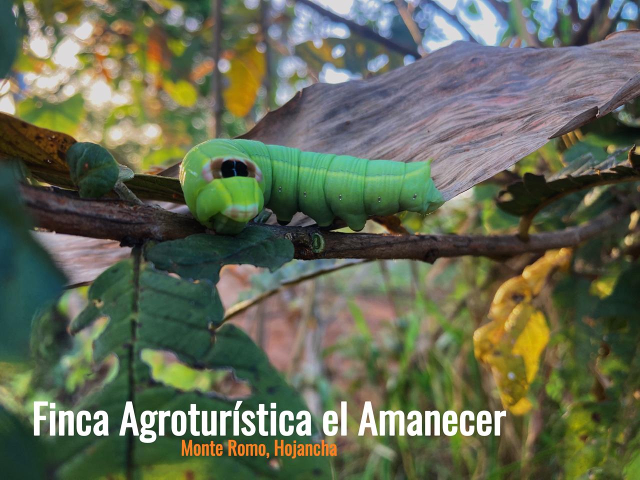 WhatsApp Image 2025-04-11 at 03.01.43